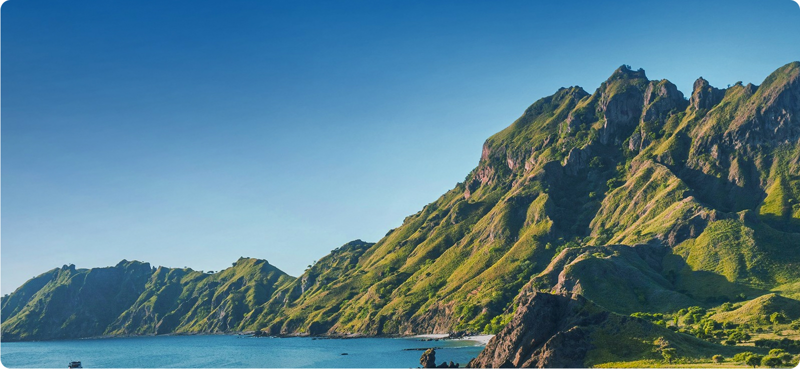 九游会绿色允许及行动