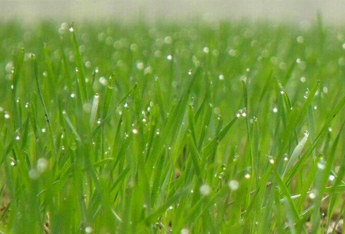 九游会·J9(中国游)官方网站-真人游戏第一品牌